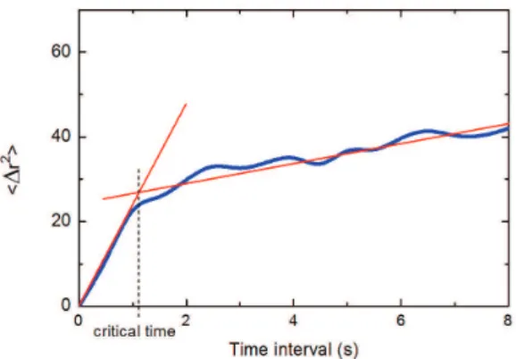 Figure 2. Example of the stabilogram diffusion plot for the COP  trajectory of one subject in the eyes open and rigid surface test  conditions at the beginning of the experiment