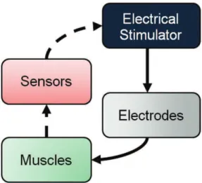 Figure 6. Example of closed-loop system applied to FES application. 