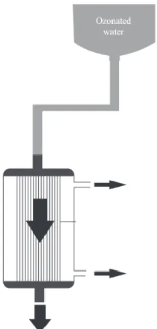 Figure 1. Model used for the reprocessing of dialyzers.