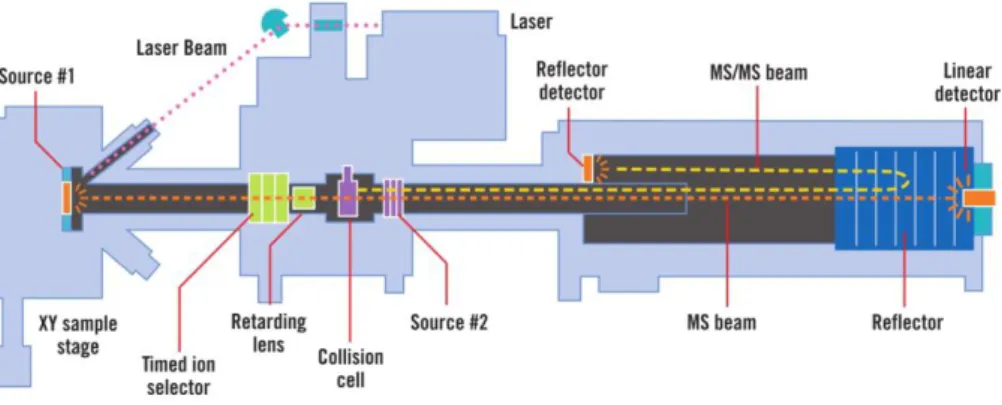 Figure  10  –  Schematic  view  of  a  MALDI-TOF/TOF  mass  spectrometer.  (Adapted  from  http://www3.appliedbiosystems.com/cms/groups/psm_marketing/documents/generaldocuments/cms_