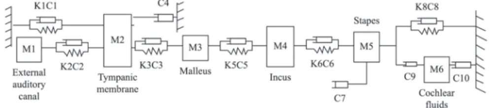 Figure 2. Diagram of a mass-spring model simulating the auditory  system.