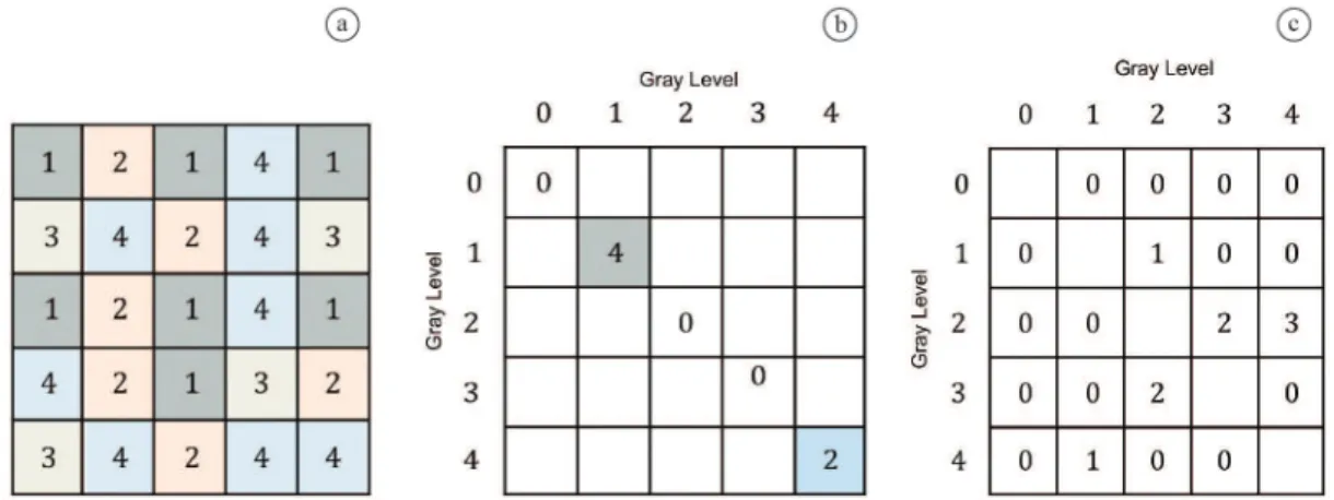 Figure 3. GLCM matrix calculation for θ = 0° and d = 2. (a) ROI 5×5; (b) Occurrences of pairs of pixels with the same gray level values; 