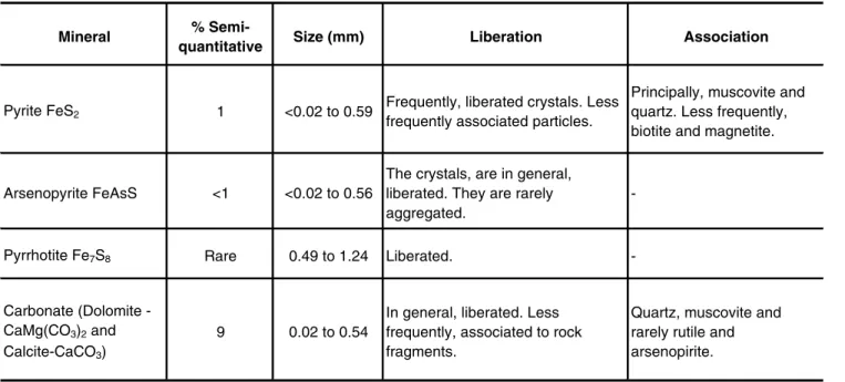 Table 2 - Textural comments on a selected sample TP01 (Vieira and Ribeiro, 2001).