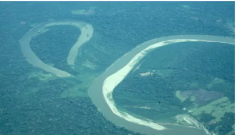 Figura 1 - Vista aérea de praia formada ao longo de um meandro (rio Iaco).