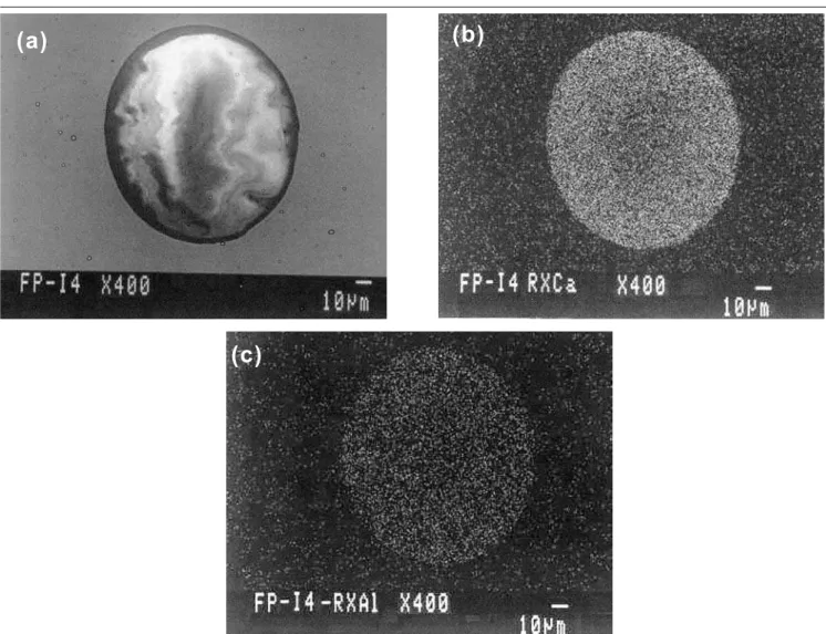 Figure 5 - (a) Typical calcium aluminate inclusion, (b) X-ray of Ca, (c) X-ray of Al.