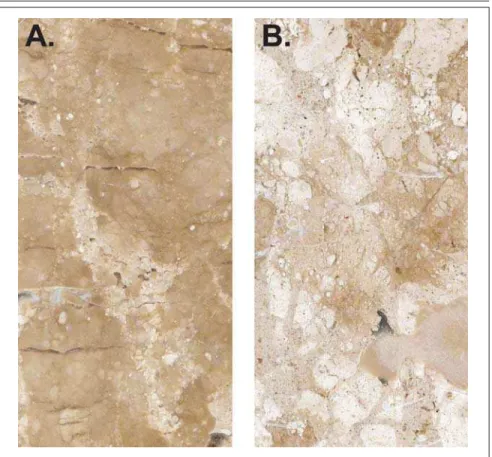 Figure 6 - Surface view of relatively dark sample, PX1 (A), and light one, PX2 (B), of the Mármore Bege Bahia.