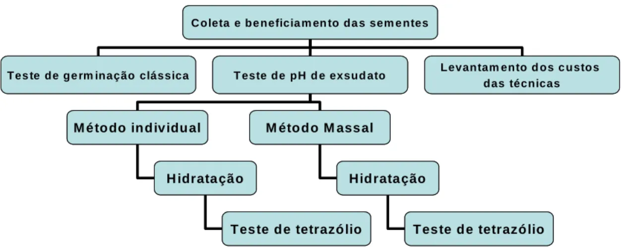 Figura 1: Esquema do método adotado por este estudo 