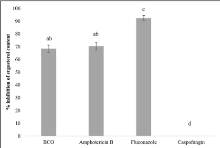 FIGURE 5 | Detection of endogenous reactive oxygen species (ROS) production. DCFH-CA staining of C