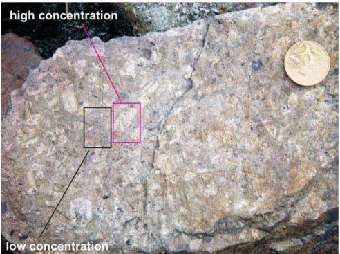 Figure 1 - Field image of porphyritic trachyte of Nova Iguaçu, sample VNI029, after Valente et al