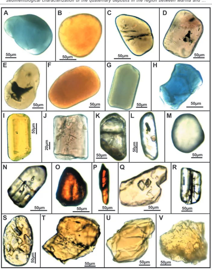 Figure 7 - Photomicrographs of non-micaceous transparent heavy minerals from fine- and very fine-grained sands of colluvial deposits (1) and from the Bauru Group (2)