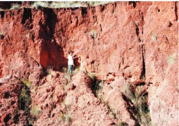 Figure 3 - Irregular ferricrete bed at the contact of Bauru Group sediments (II) and colluvial deposits (I), sampling site 102.