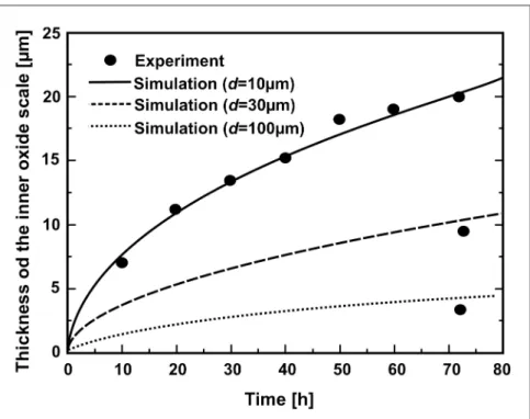 Figure 6 - Experimentally measured and simulated thickness of the inner oxide scale for different steel grain sizes (Fe-1.43wt.%Cr, T=550°C, air).