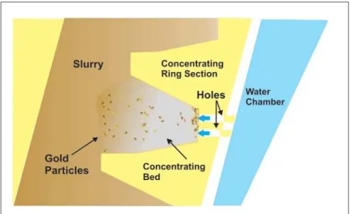 Figure 1 - Schematic representation of concentration in the cone of Knelson centrifugal  separator (Knelson, 2009).