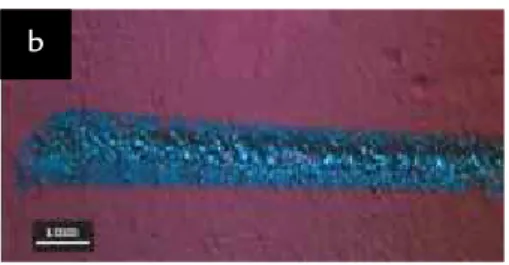Figure 3 (a) SEM micrographs showing  irradiated area with glassy phase  upon non altered hematite powder