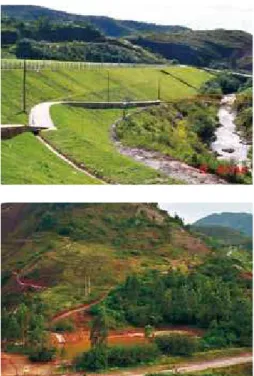 Figure 2 Galo tailings 
