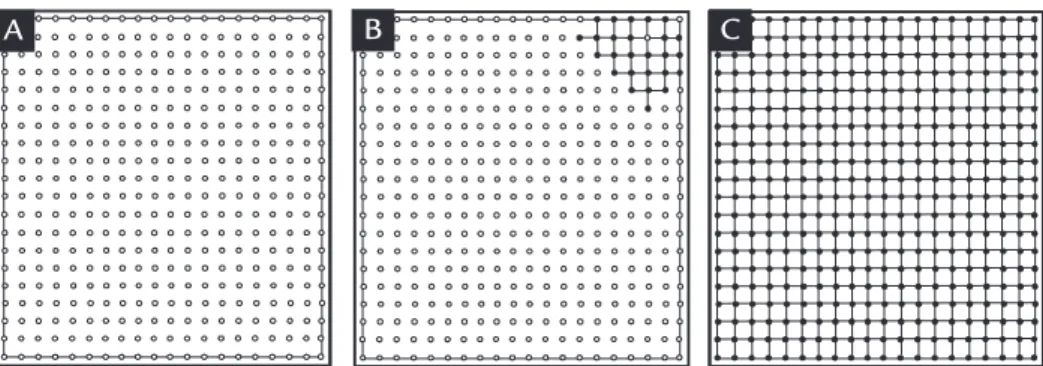 Figure 2 Graphical representation  of the proposed algorithm: 