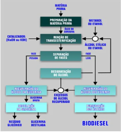 Figura 6  Processo de produção de biodiesel (Da ref. 13 ) 