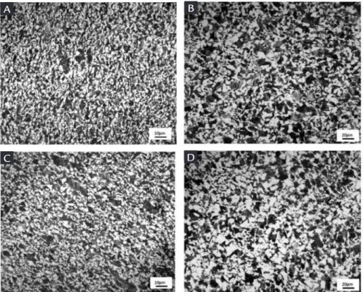 Figure 4 Microstructure of the products 