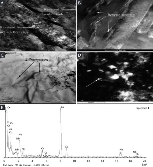 Figure 3D shows rod like and globular  precipitate  morphology  observed  on  carbon extraction replica