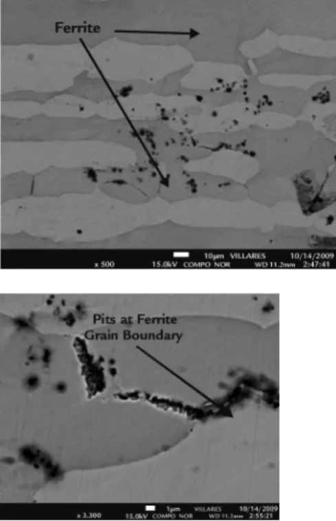Figure 5 Compositional SEM image of the  corrosion specimen surface without  etching showing the pitting initiation is  concentrated in the ferrite