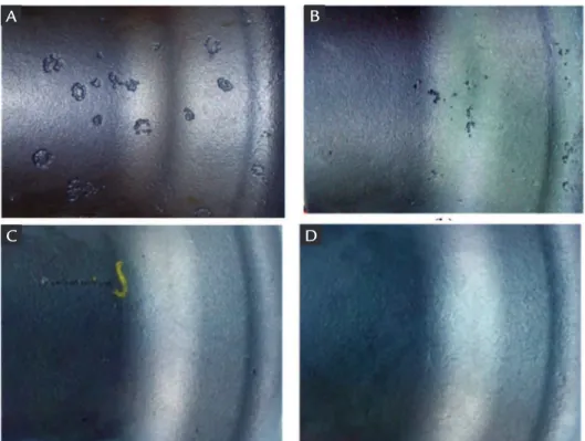 Figure  3  shows  typical  morphologies 