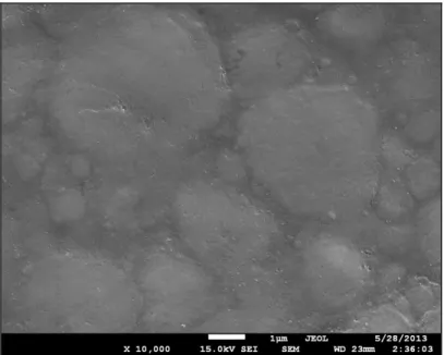 Figura 16: Fotomicrografia da resina Filtek Z350 XT no período inicial 