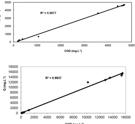 Figure 4 Comparison between measured and  cal-culated COD (Q) for experiment 4.