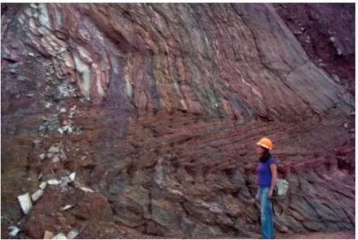 Figure 5  Folding with direction axis E-W, in the  West Slope. 