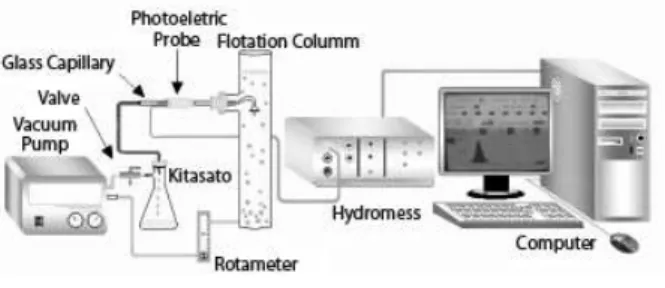 Figure 2 Apparatus to determine mean bubble  dia-meter using the Hydromess technique in a 