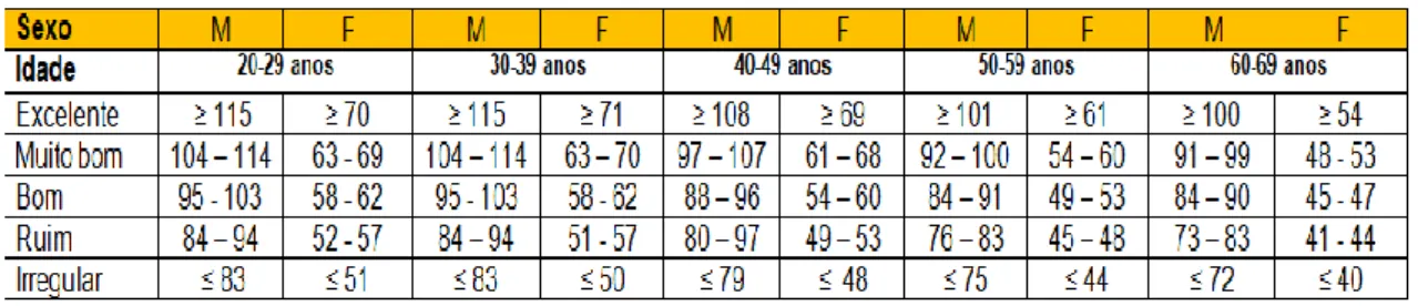 Figura 2. Escores do hand grip de acordo com sexo e idade 