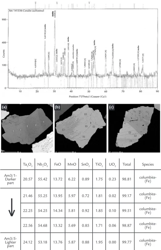 Figure 5 Backscattered  electrons images of Nb-tantalates. 