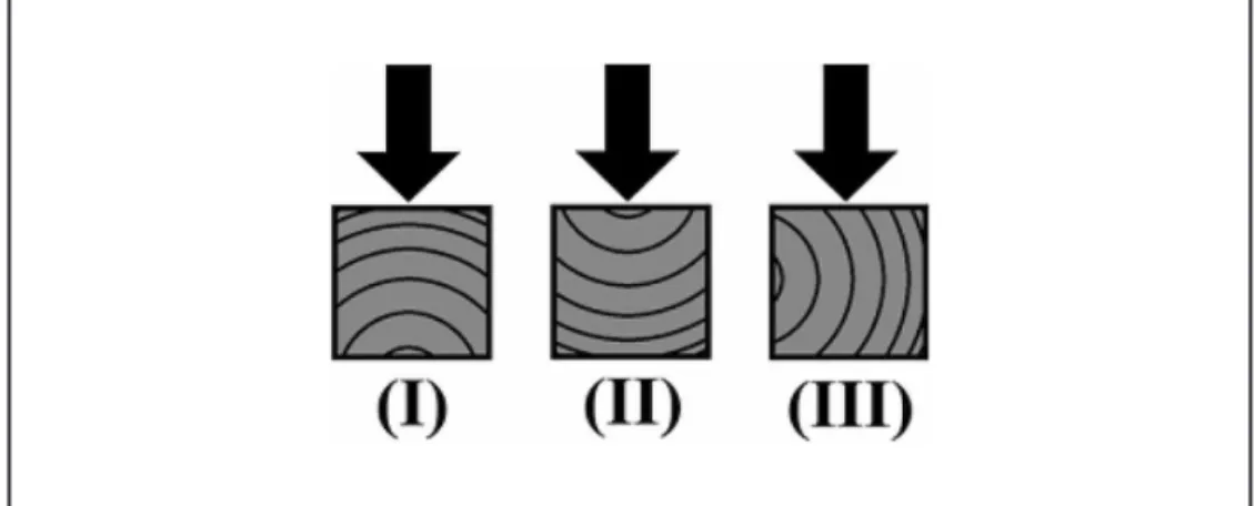 Figure 1 Positioning of growth rings  for toughness evaluation of the woods.