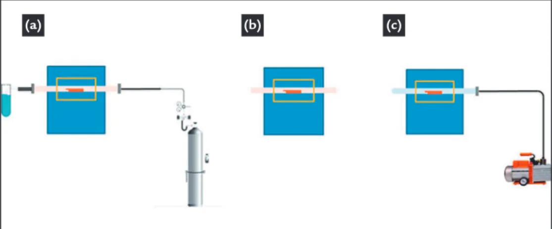 Figure 3 Schematic design of the experiments.