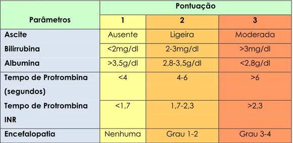 Tabela 6 – Classificação de Child-Pugh (Retirado de:  Steven A Curley, MD,  FACS; Carlton C Barnett, Jr, MD; Eddie K Abdalla, MD