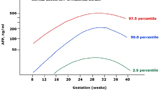Gráfico 2 - Taxas de sobrevivência média para os diferentes estadios CLIP. 
