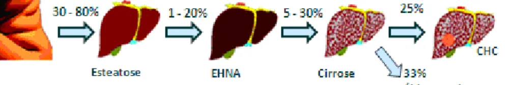 Figura  2.  Associação  da  esteatose  hepática  com  a  obesidade  e  evolução  para  esteatohepatite,cirrose e hepatocarcinoma