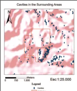 Figure 3 Cavities present in the area of study,  special attention to the DNPM polygon.