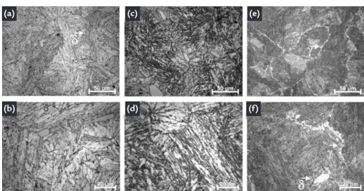 Figure 1 shows the microstructure  of the tempered 13Cr4Ni0.02 steel at  three different temperatures