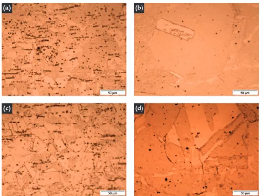 Figure 1 Microstructure of the investigated steels. 