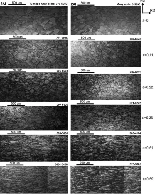 Figure 1 Image quality maps showing  the deformation microstructures  of the hot-rolled (ε=0) and cold-rolled  8Al and 2Al steels with progressing ε