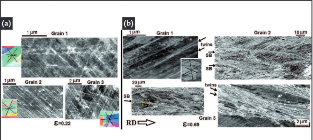 Figure 5  ECCI images of the 8Al steel samples at  (a) ε=0.22 and at (b) ε=0.69 for different  grains (right inferior corner ECCI image is  from enlarged SB region of the Grain 3)