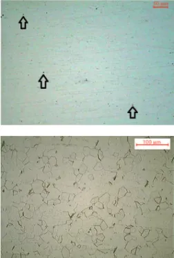 Figure 3 presents an image (optical  microscope) of a sanded and polished  surface of the studied steel, without  etch-ing
