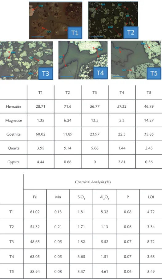 Table 2 Mineralogical semi-quantitative  analyses, defined by optical microscopy. 