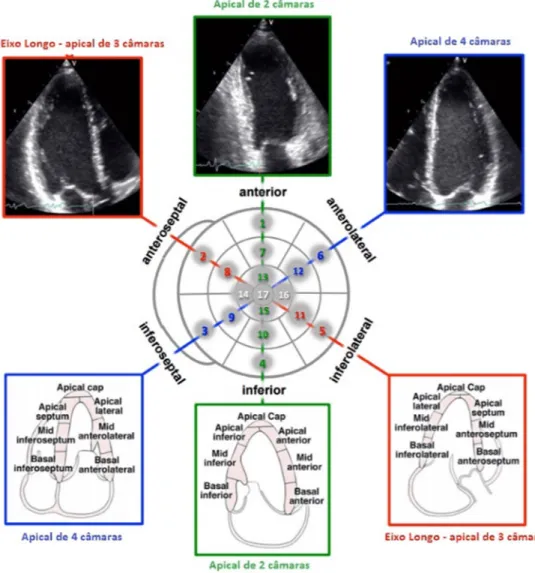 Figura 9. Recomendações para quantificação das câmaras cardíacas pela ecocardiografia em  adultos 