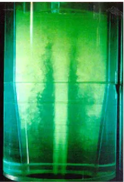 Fig. 1.4- Visualização do vortex central (Michigan State University/ Aachen University,1991)
