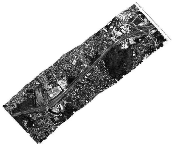 Figure 1 - Image I01, with 24 spectral bands and a 50 cm spatial resolution, of the Study  Area, Sorocaba, São Paulo - SP (ATECH, 2010) 