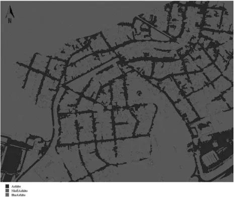 Figure 3 - Image with asphalt classifications resulting  from the object-based classification algorithm 