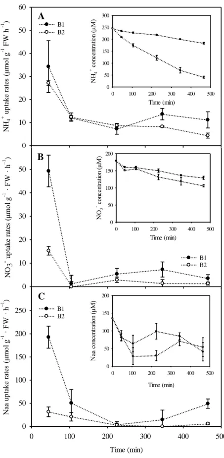 Fig. 2. Time course of the uptake rates of ammonium (NH 4 + ) (A), nitrate (NO 3 − ) (B) and  amino  acids  (Naa)  (C)  by  Asparagopsis  armata