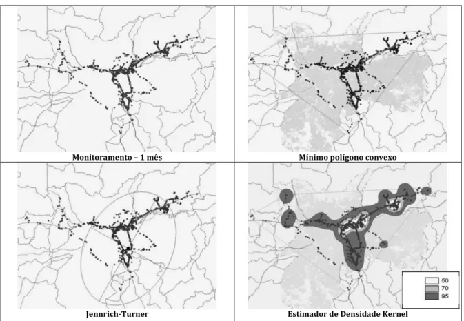 Figura 1 - Exemplos de análise de envoltórias – Região Metropolitana de São Paulo – SP – Brasil (Fonte: os autores)