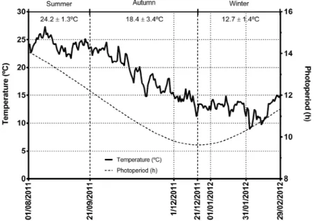 Figure  2.  Temperature  (°C)  and  photoperiod  (hours  of  light)  through  the  different  seasons  (bold  vertical  dash  lines)  and  sets  (vertical  dash  lines)  used  for  studying  the  biological  rhythms  of  the  cuttlefish Sepia officinalis. 